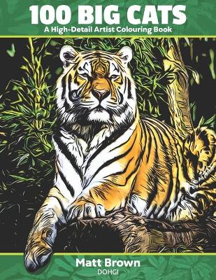 Book cover for 100 Big Cats - A High Detail Artist Colouring Book