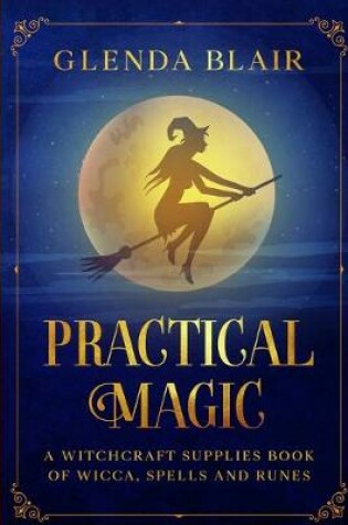 Cover of Practical Magic