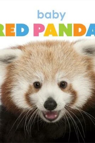 Cover of Baby Red Pandas