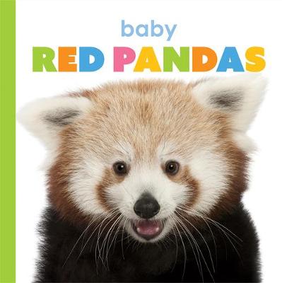 Book cover for Baby Red Pandas