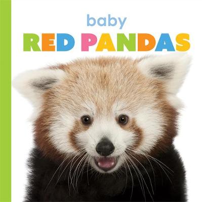 Cover of Baby Red Pandas