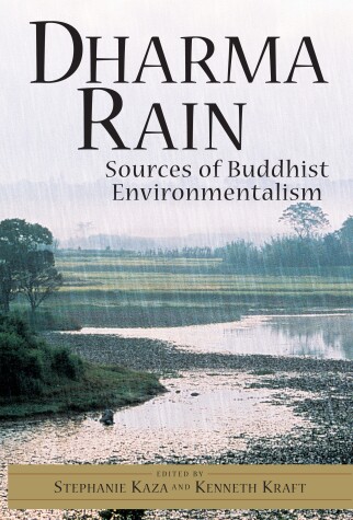 Book cover for Dharma Rain