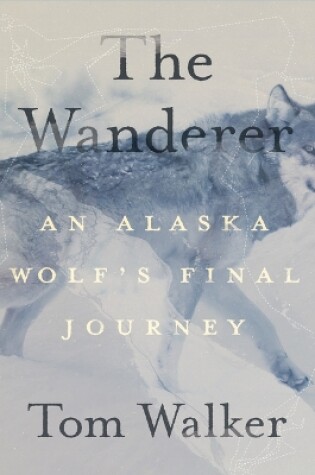 Cover of The Wanderer