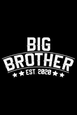 Book cover for Big Brother Est. 2020