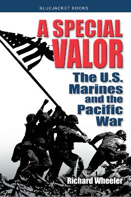 Book cover for A Special Valor