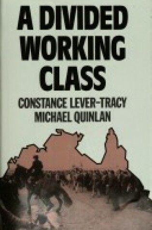 Cover of Divided Working Class