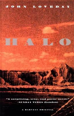 Book cover for Halo