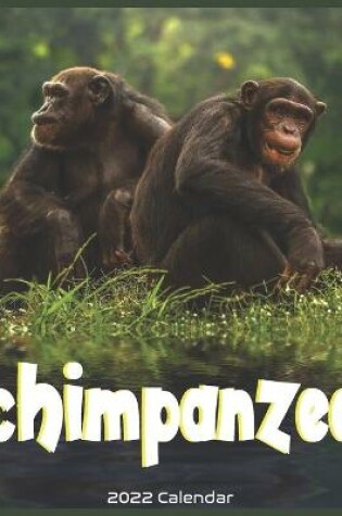 Cover of Chimpanzee 2022 Calendar