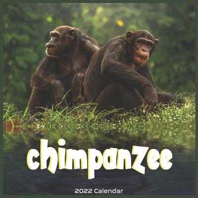 Book cover for Chimpanzee 2022 Calendar