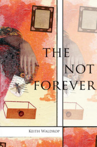 Cover of The Not Forever