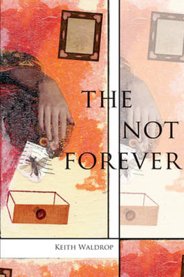 Book cover for The Not Forever