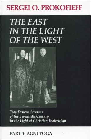 Book cover for The East in the Light of the West