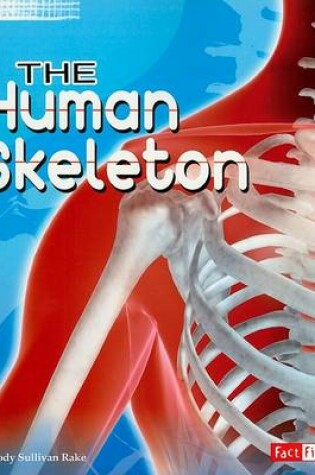 Cover of Human Skeleton