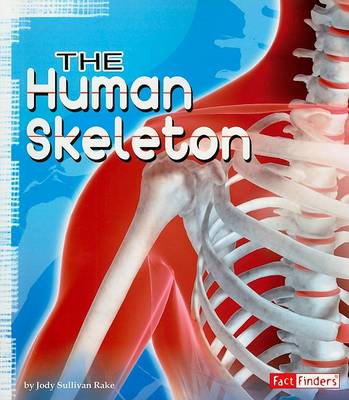 Book cover for Human Skeleton