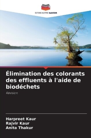 Cover of Élimination des colorants des effluents à l'aide de biodéchets