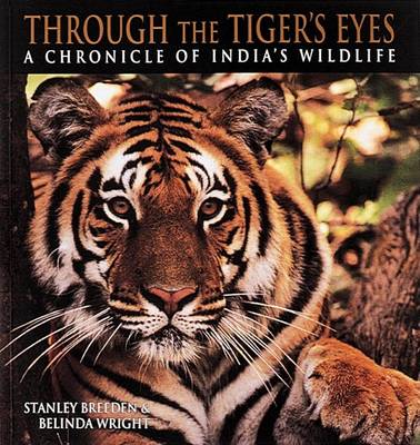 Book cover for Through the Tiger's Eyes