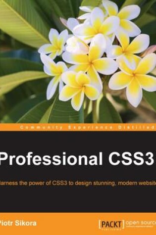 Cover of Professional CSS3