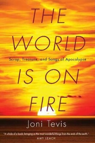 Cover of The World Is on Fire