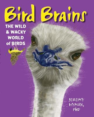 Book cover for Bird Brains