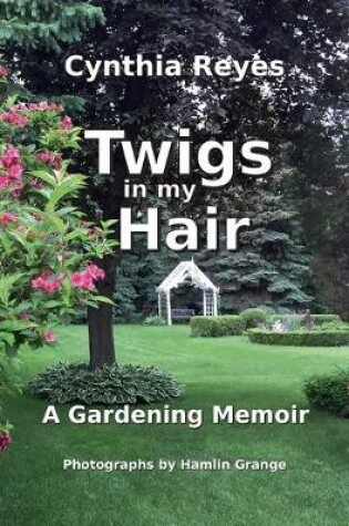 Cover of Twigs in my Hair