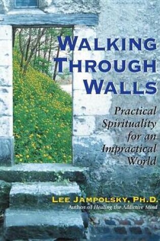 Cover of Walking Through Walls