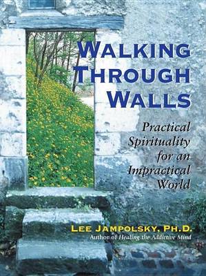 Book cover for Walking Through Walls