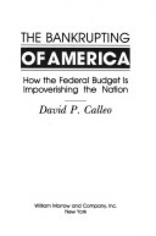 Cover of The Bankrupting of America