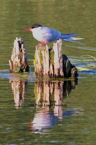 Cover of Arctic Tern (100 Page Lined Journal)