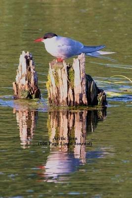 Book cover for Arctic Tern (100 Page Lined Journal)