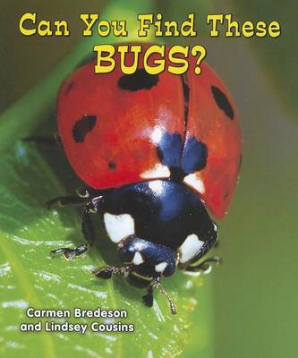 Cover of Can You Find These Bugs?