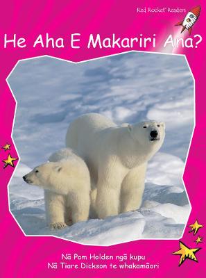 Book cover for What Feels Cold? te reo Māori - He Aha e Makariri Ana?