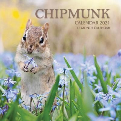 Book cover for Chipmunk Calendar 2021