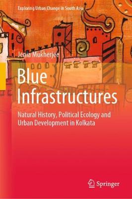 Cover of Blue Infrastructures