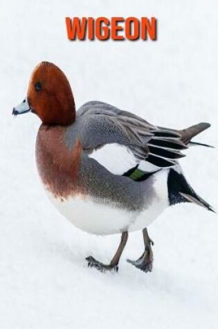 Cover of Wigeon