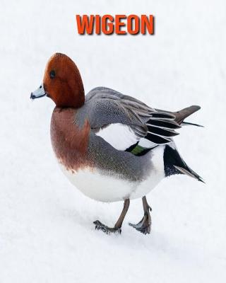 Book cover for Wigeon