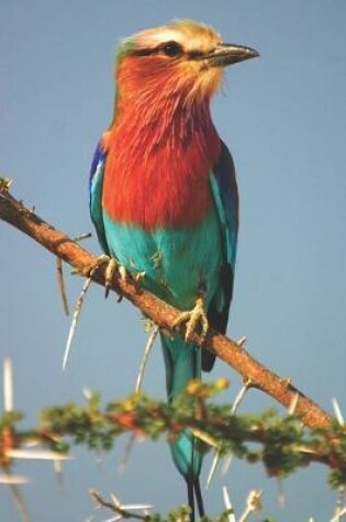 Cover of Colorful Fork-Tailed Roller Bird Journal
