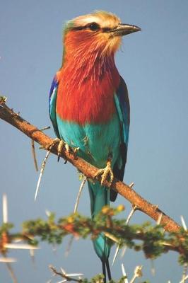 Book cover for Colorful Fork-Tailed Roller Bird Journal