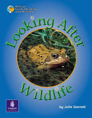 Book cover for Looking After Wildlife Year 2