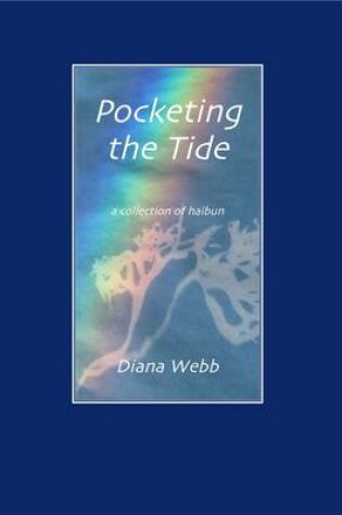 Cover of Pocketing the Tide