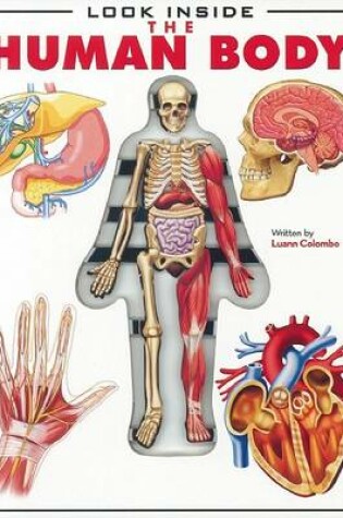 Cover of Look Inside the Human Body