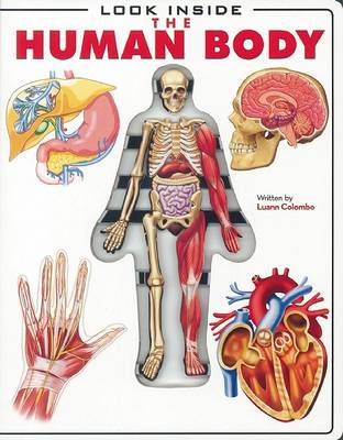 Cover of Look Inside the Human Body