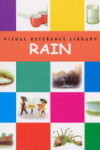 Book cover for Rain