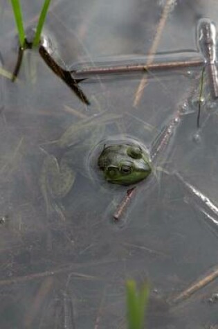 Cover of Just a Frog in a Bog