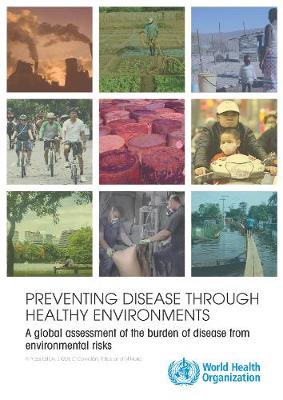 Cover of Preventing Disease through Healthy Environments