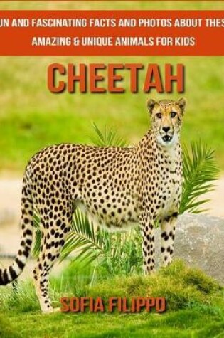 Cover of Cheetah