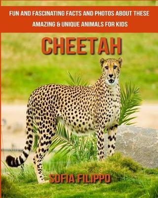 Book cover for Cheetah