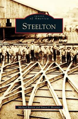 Book cover for Steelton