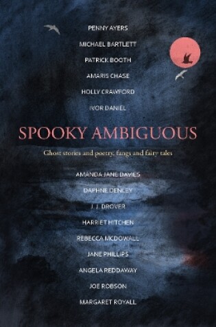 Cover of Spooky Ambiguous