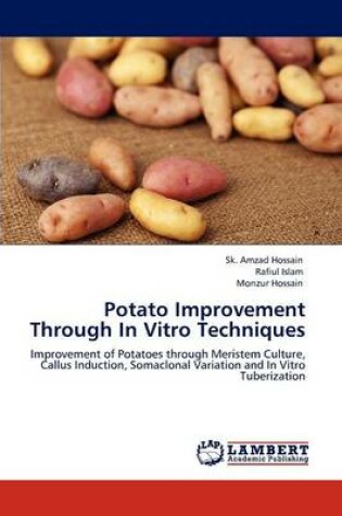 Cover of Potato Improvement Through In Vitro Techniques