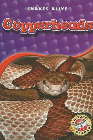 Cover of Copperheads